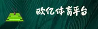 使用指南与常见问题